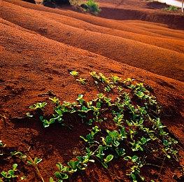 第一人称心理恐怖游戏《Lempo》实机预告